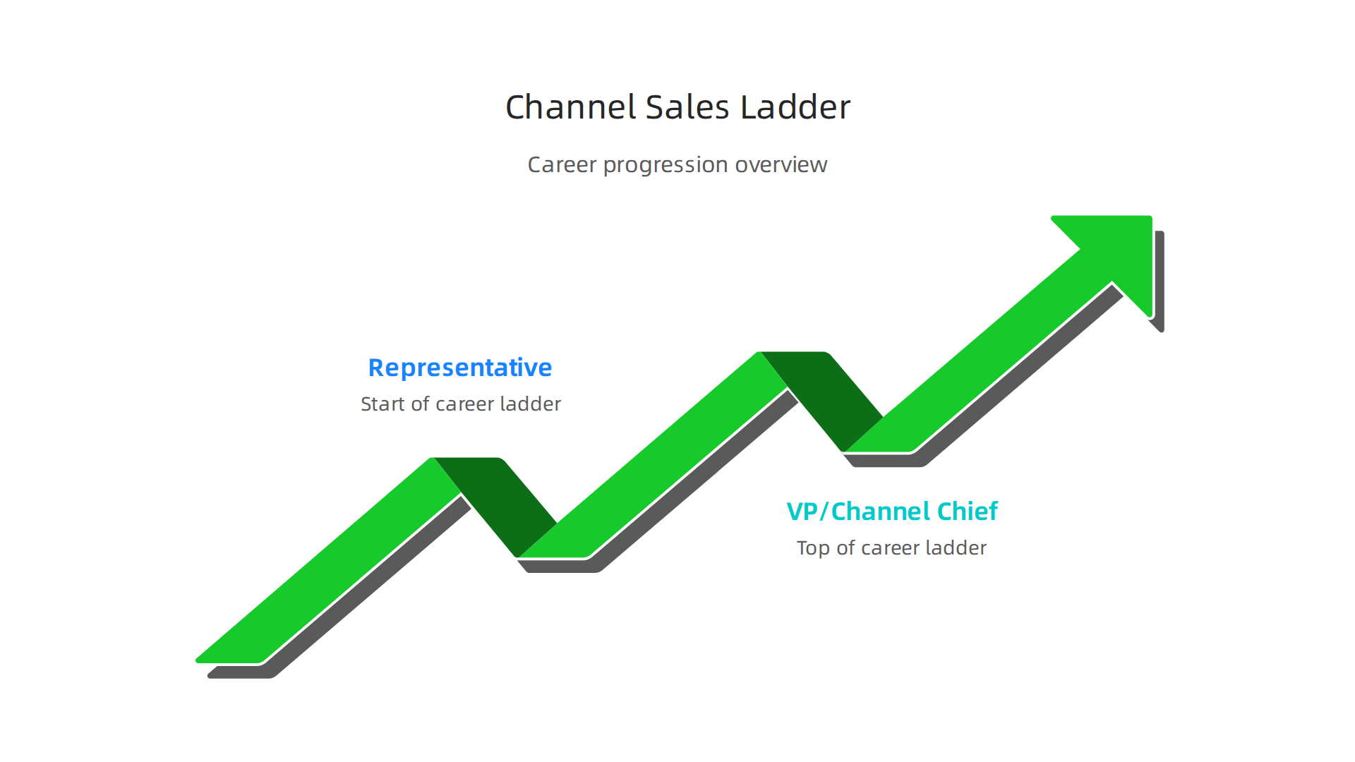 An infographic outlining the career progression in channel sales, from Representative to VP/Channel Chief, with key responsibilities.